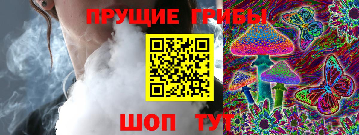 Псилоцибиновые грибы MAGIC MUSHROOMS  Вход с VPN  купить наркотик  Ноябрьск 