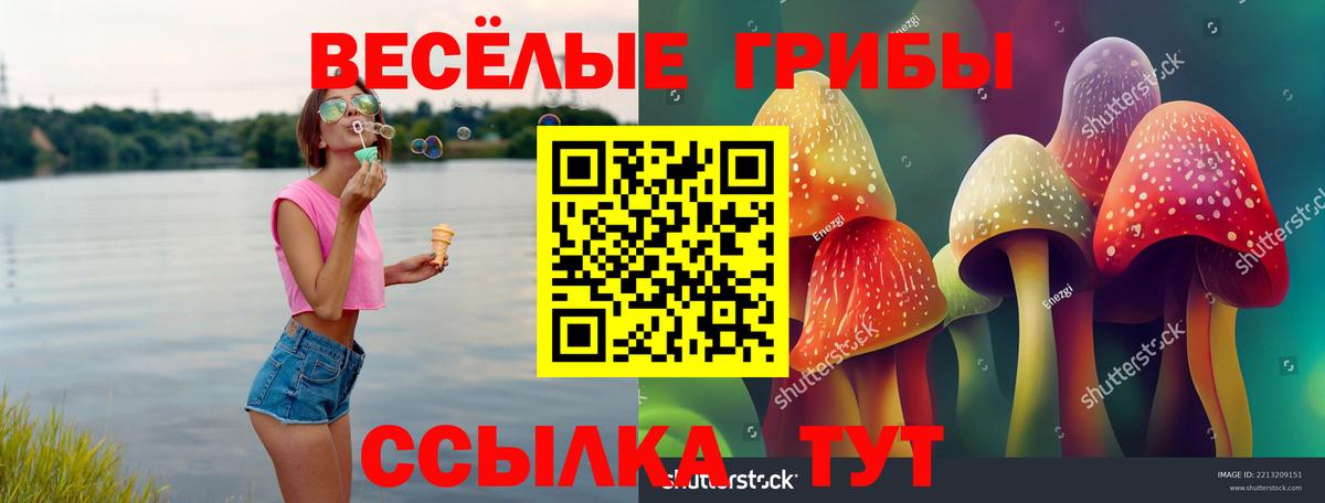 Галлюциногенные грибы прущие грибы Ноябрьск